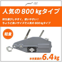 ベスト・アンサー ハンドウインチ 800kg グレー 20m ワイヤー BA060-02ーgr 1台（直送品）