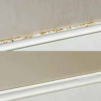 ファミリー・ライフ ファミラ カビクリーンジェル2本セット 希釈ボトル・手袋付き a32143 1セット(2本入)