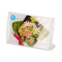 ハクバ写真産業 アクリルLフレーム ハガキサイズ 1面(ヨコ) FACL-KGY 1個 62-9755-24（直送品）