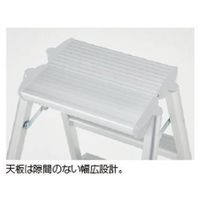 長谷川工業 アルミ踏台(天板幅広) SEW-6A 1PC(1個)（直送品）