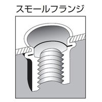 ロブテックス ブラインドナット アルミ エコパック NAK6MP 1セット(250本:25本×10PC)（直送品）