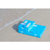 リングスター 対馬オーシャンプラスチックシリーズ フリーケース（仕切リナシ） TOP-1500F 1個