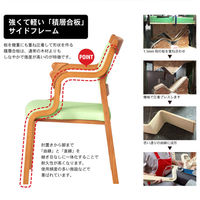 【軒先渡し】貞苅椅子製作所　Careシリーズ　高齢者向け介護イス　Care-111-AC-LB AL-G　1セット/2脚入（直送品）