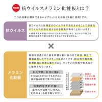 【軒先渡し】貞苅椅子製作所高齢者施設向け抗ウイルスメラミンテーブル180cm長方形（6人）車いす対応継脚付　TM4-K18090-LB　A脚（直送品）