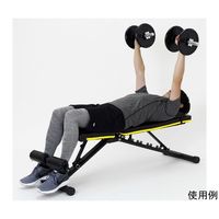 アルインコ アジャスタブルベンチ FA221Y 1個 65-0509-46（直送品）