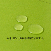 アスクル　背幅伸縮ファイル（PPラミネート表紙）　A4タテ　グリーン　10冊  オリジナル