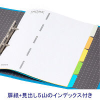 ハピラ　片開きパイプ式ファイル　A4タテ　とじ厚30mm　ブルー　1箱（12冊入）