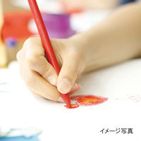 マルマン スケッチブック B4 図案シリーズ 並口 30冊入 S120