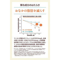 【機能性表示食品】サントリー烏龍茶OTPP 600ml 1セット（48本）