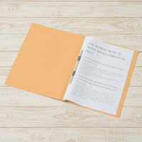 プラス プラスフラットファイル樹脂製金具B4ーSYL 79087 1セット(1冊×100)