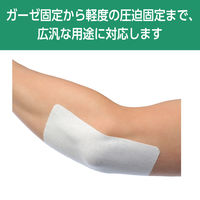 アルケア　シルキーテックス　5号　5cm×5m　11894　1パック（6巻入）【個包装】