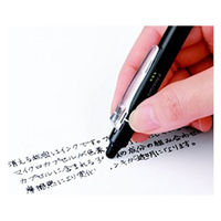 フリクション替芯(単色用) 0.5mm ブラック 黒 LFBKRF30EF3B 30本入 パイロット