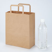 平紐手提袋　薄型エコノミータイプ　茶　無地　SS　1セット（900枚：300枚入×3箱）　アスクル  オリジナル