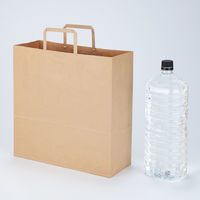 【復活特別価格】平紐 クラフト紙手提袋ベーシック320×320×115 茶1セット（900枚：300枚×3箱） オリジナル