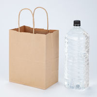 丸紐 クラフト紙手提袋ベーシック 200×250×120 茶 1セット（900枚：300枚×3箱）  オリジナル