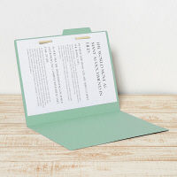 フォルダー（個別フォルダー）　A4　グリーン　FL-001IF　87834  1袋（10枚入）