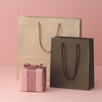 ナチュラルカラー手提袋　丸紐　ベージュ　M　1セット（25枚：5枚入×5袋）　スーパーバッグ  オリジナル