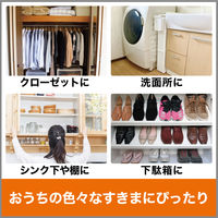 ドライペット コンパクト 本体 1箱（35個入） エステー