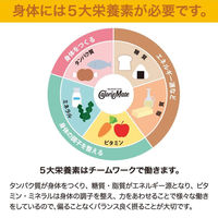 大塚製薬　カロリーメイトブロック フルーツ味　1セット（10箱） 栄養補助食品