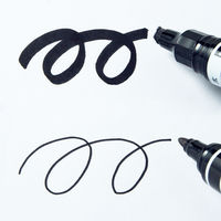 ハイマッキーケア 太字/細字 詰め替えタイプ（アスクル限定モデル） 黒 5本 油性ペン ゼブラ AS-YYT5-BK  オリジナル