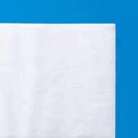 ハクゾウラップキュアドレッシングNо.150 3155151 ハクゾウメディカル