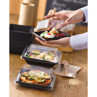 中央化学　SDstyle　ディープスクエア　160mm　本体　1セット（200枚：50枚入×4袋）