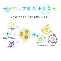 ソフラン プレミアム消臭プラス　フルーティーグリーンアロマの香り 本体620mL　 ライオン