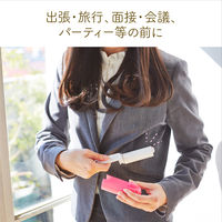 ケータイコロコロ 洋服用 ピンク 本体 1本 ニトムズ