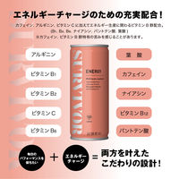 【エナジードリンク】富永貿易 サバイバー エナジードリンク　250ml 1箱（30缶入）