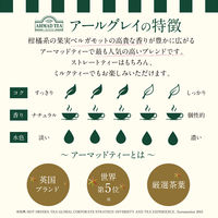 【 紅茶 ティーバッグ 】 AHMAD TEA (アーマッドティー） アールグレイ 1箱 20袋 ［英国ブランド 個包装］