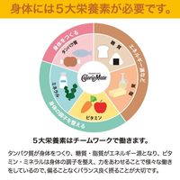 大塚製薬　カロリーメイトブロック5種アソートパック　1ケース（20箱入）  オリジナル