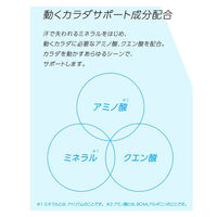 【スポーツドリンク】アクエリアス パウチ ハンディパック 300g 1箱（30個入）（冷凍可能）（熱中症対策）