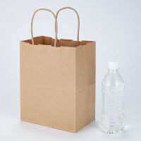 丸紐クラフト紙手提袋薄型エコノミー200×240×90 茶 1セット（100枚：50枚入×2袋）