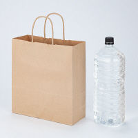 丸紐クラフト紙手提袋薄型エコノミー260×280×100 茶 1セット（100枚：50枚入×2袋）