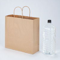 丸紐クラフト紙手提袋薄型エコノミー320×310×115 茶 1セット（100枚：50枚入×2袋）