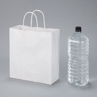丸紐クラフト紙手提袋薄型エコノミー260×280×100 白 1セット（100枚：50枚入×2袋）