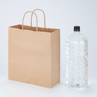 丸紐クラフト紙手提袋薄型エコノミー260×280×100 茶 1箱（300枚：50枚×6袋）