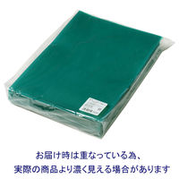 プラス　カラークリアホルダー　A4　1箱(600枚)　濃色グリーン