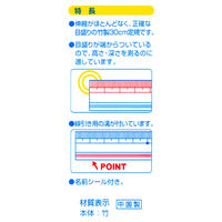 竹尺 片目 30cm 定規 300-045 銀鳥産業