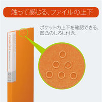 プラス デジャヴクリアーファイル24P FC124DP BRR 1冊