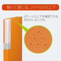 プラス デジャヴクリアーファイル48P FC148DP PUY 1冊