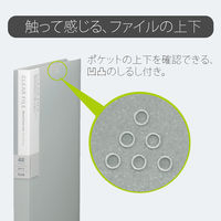 プラス　デジャヴクリアーファイル48P　FC148DP　SLG　（直送品）