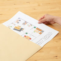 マルアイ 事務用封筒 PK-5B31 角B3 50枚 クラフト 郵便番号枠なし 接着テープ無