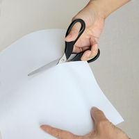 プラス ステンレスハサミ ブラック SC-160R 1個（直送品）