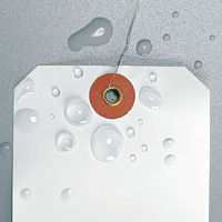 長門屋商店 ユポ（R）荷札（RoHS対応） 2号（大） 白 ニ-N532 1パック（100枚入）