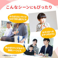 【紙パック】カゴメ 果汁100％ りんごジュース 100ml　1セット（72本）  オリジナル