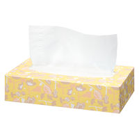 ティッシュペーパー 150組（5箱入） オリジナルティッシュ スマートコンパクト パステルフラワー PEFC認証紙 アスクル  オリジナル