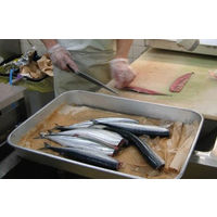 ミートペーパー　エリエール　ミートペーパー　ロールタイプ　ミシン目入　1カット60×30cm　1箱(4本入)　大王製紙