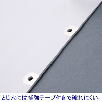 ファイルインデックス 文字入り「4月～3月」ラミネートタブ A4タテ 2穴 マルマン  オリジナル