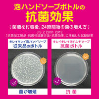 ライオン　キレイキレイ薬用泡ハンドソープフルーツミックスの香り250ml　HS11